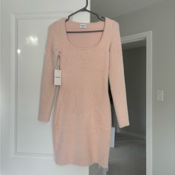 Aritizia Sunday Best Pink Montgomery Dress - Picture 2 of 4